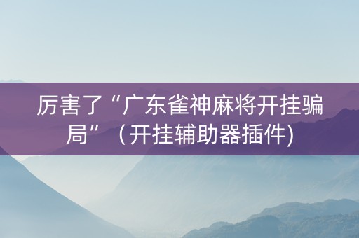 厉害了“广东雀神麻将开挂骗局”（开挂辅助器插件)