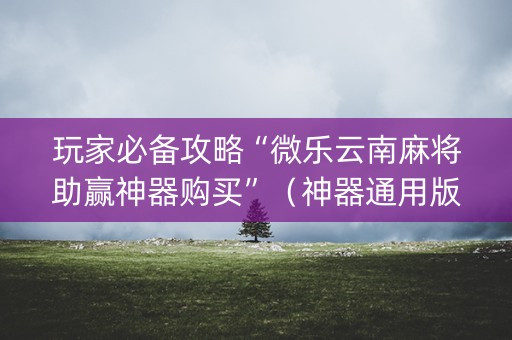 玩家必备攻略“微乐云南麻将助赢神器购买”（神器通用版)