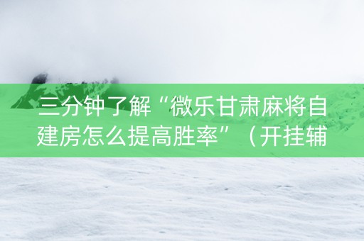 三分钟了解“微乐甘肃麻将自建房怎么提高胜率”（开挂辅助脚本)