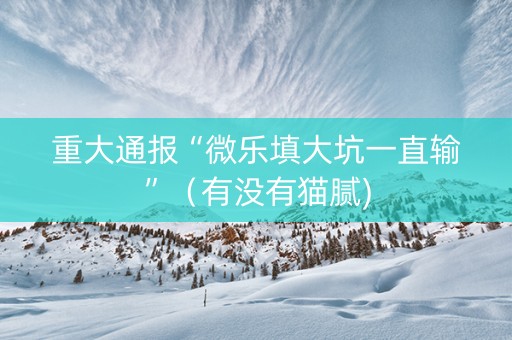 重大通报“微乐填大坑一直输”（有没有猫腻)