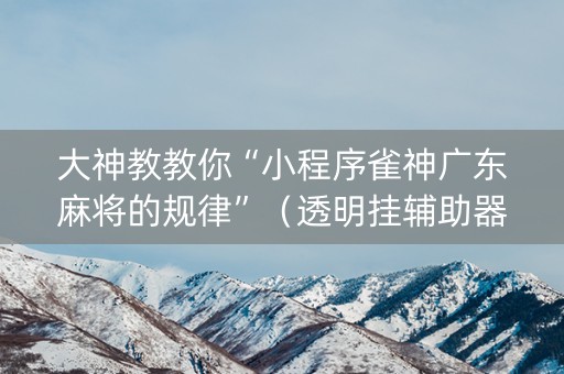 大神教教你“小程序雀神广东麻将的规律”（透明挂辅助器)
