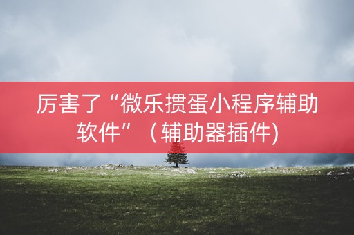 厉害了“微乐掼蛋小程序辅助软件”（辅助器插件)