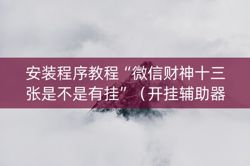 安装程序教程“微信财神十三张是不是有挂”（开挂辅助器插件)