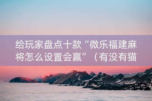 给玩家盘点十款“微乐福建麻将怎么设置会赢”（有没有猫腻)