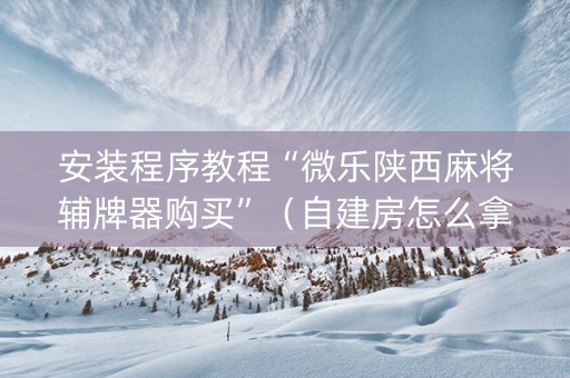 安装程序教程“微乐陕西麻将辅牌器购买”（自建房怎么拿好牌)