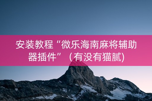 安装教程“微乐海南麻将辅助器插件”（有没有猫腻)