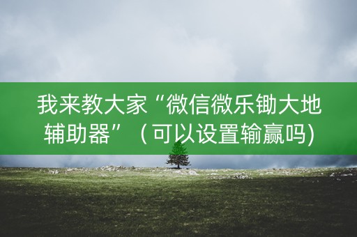 我来教大家“微信微乐锄大地辅助器”（可以设置输赢吗)