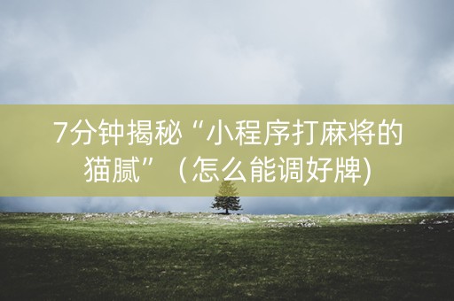 7分钟揭秘“小程序打麻将的猫腻”（怎么能调好牌)