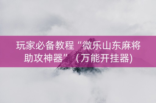 玩家必备教程“微乐山东麻将助攻神器”（万能开挂器)