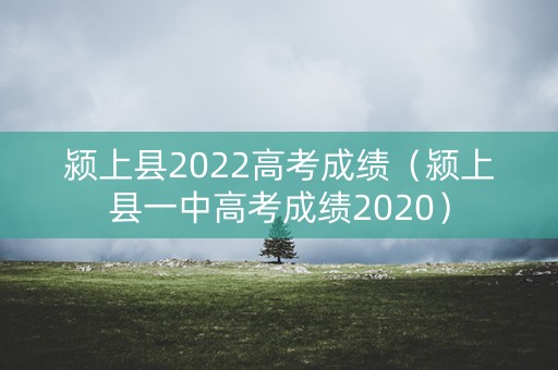 颍上县2022高考成绩（颍上县一中高考成绩2020）