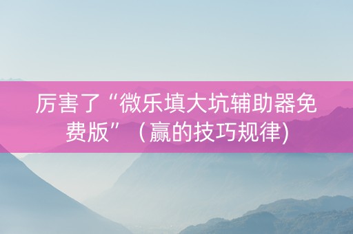 厉害了“微乐填大坑辅助器免费版”（赢的技巧规律)