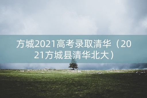 方城2021高考录取清华（2021方城县清华北大）