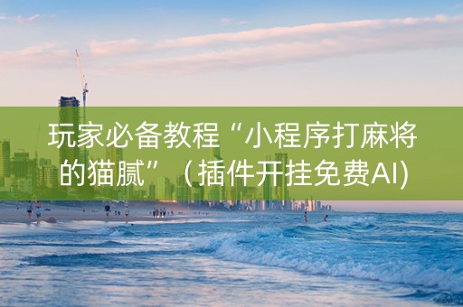 玩家必备教程“小程序打麻将的猫腻”（插件开挂免费AI)