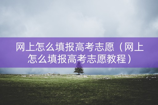 网上怎么填报高考志愿（网上怎么填报高考志愿教程）