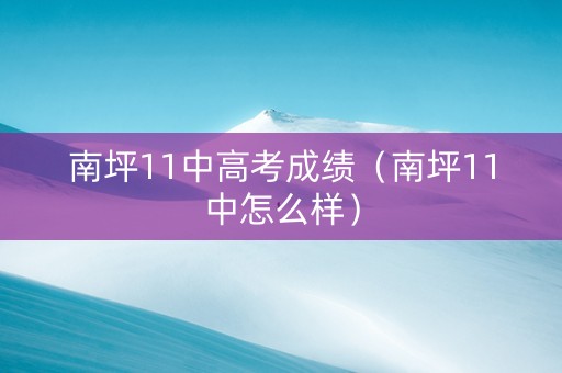 南坪11中高考成绩（南坪11中怎么样）