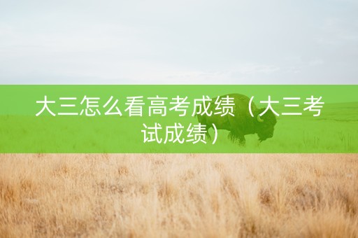 大三怎么看高考成绩（大三考试成绩）