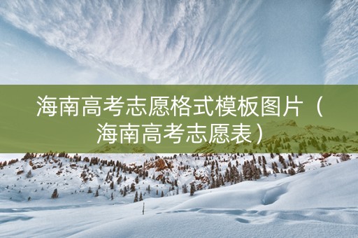 海南高考志愿格式模板图片（海南高考志愿表）