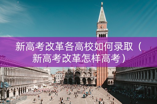 新高考改革各高校如何录取（新高考改革怎样高考）