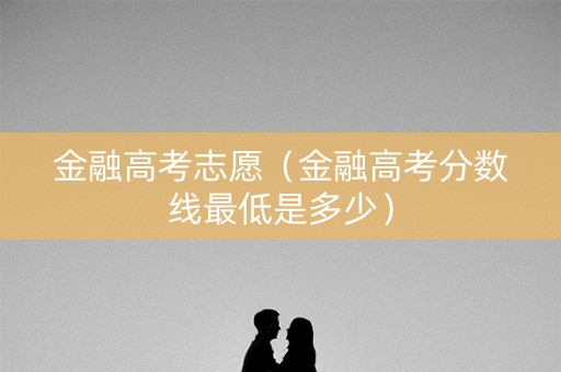 金融高考志愿（金融高考分数线最低是多少）
