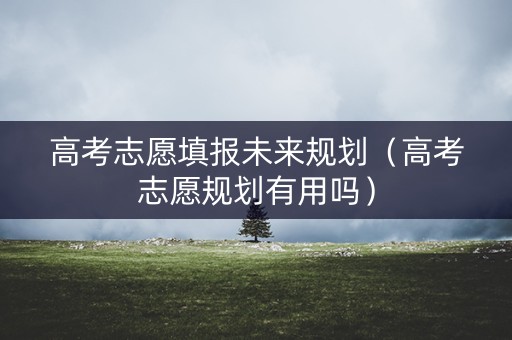 高考志愿填报未来规划（高考志愿规划有用吗）