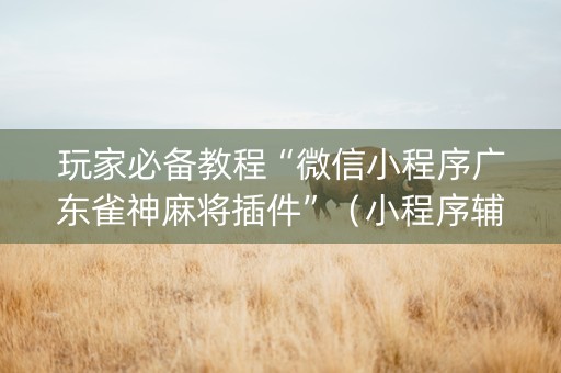 玩家必备教程“微信小程序广东雀神麻将插件”（小程序辅助软件)