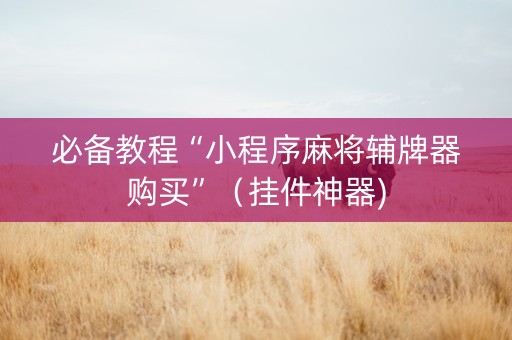 必备教程“小程序麻将辅牌器购买”（挂件神器)