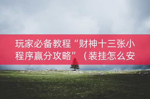 玩家必备教程“财神十三张小程序赢分攻略”（装挂怎么安装)