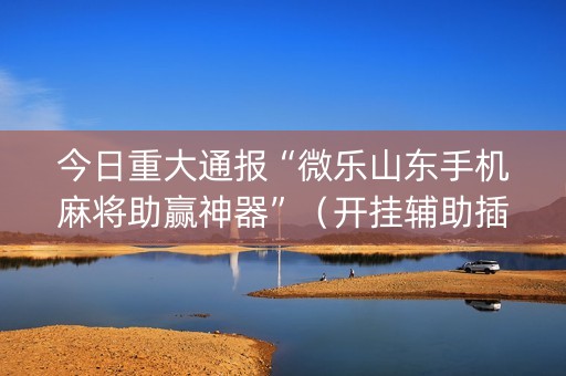 今日重大通报“微乐山东手机麻将助赢神器”（开挂辅助插件)