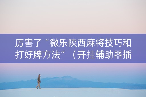 厉害了“微乐陕西麻将技巧和打好牌方法”（开挂辅助器插件)