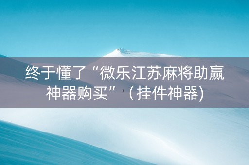 终于懂了“微乐江苏麻将助赢神器购买”（挂件神器)