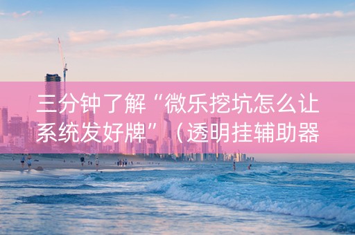 三分钟了解“微乐挖坑怎么让系统发好牌”（透明挂辅助器)
