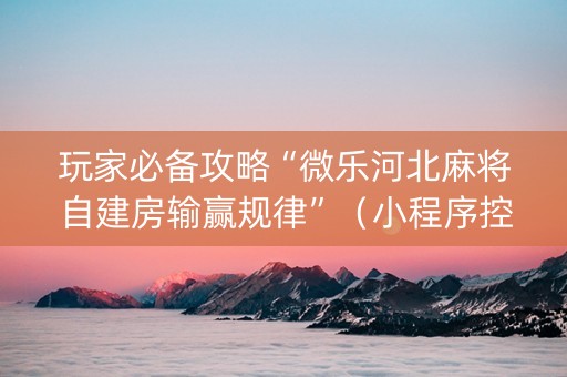 玩家必备攻略“微乐河北麻将自建房输赢规律”（小程序控牌器)