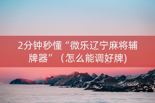 2分钟秒懂“微乐辽宁麻将辅牌器”（怎么能调好牌)