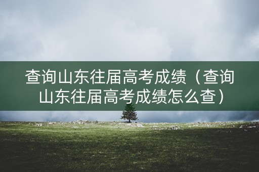 查询山东往届高考成绩（查询山东往届高考成绩怎么查）