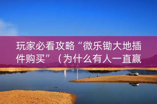 玩家必看攻略“微乐锄大地插件购买”（为什么有人一直赢)