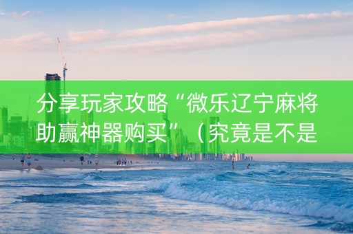 分享玩家攻略“微乐辽宁麻将助赢神器购买”（究竟是不是有挂)