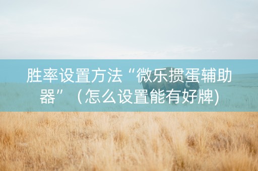 胜率设置方法“微乐掼蛋辅助器”（怎么设置能有好牌)