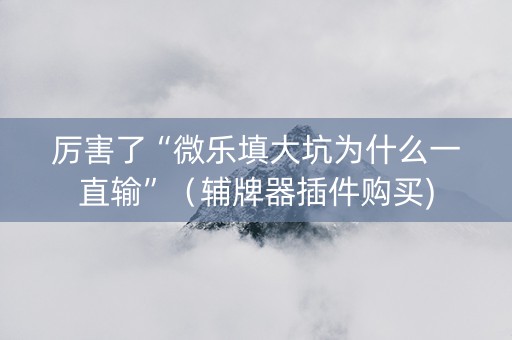 厉害了“微乐填大坑为什么一直输”（辅牌器插件购买)