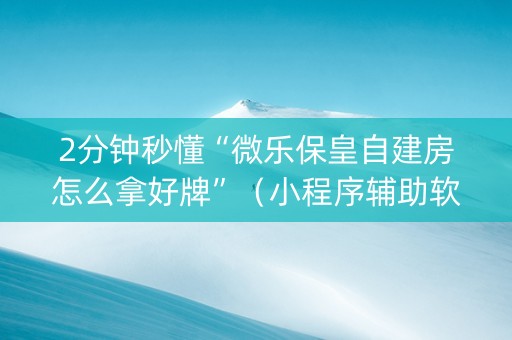 2分钟秒懂“微乐保皇自建房怎么拿好牌”（小程序辅助软件)