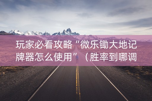 玩家必看攻略“微乐锄大地记牌器怎么使用”（胜率到哪调)