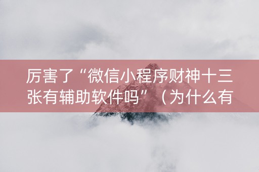厉害了“微信小程序财神十三张有辅助软件吗”（为什么有人一直赢)