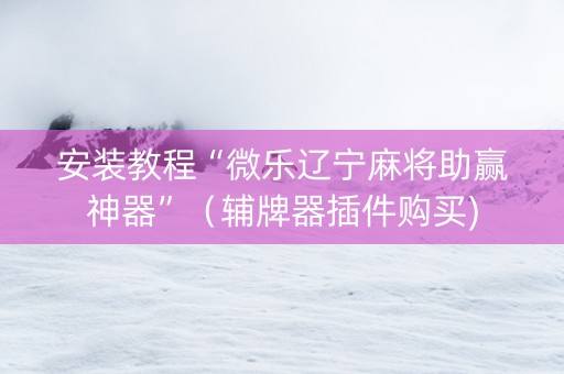 安装教程“微乐辽宁麻将助赢神器”（辅牌器插件购买)