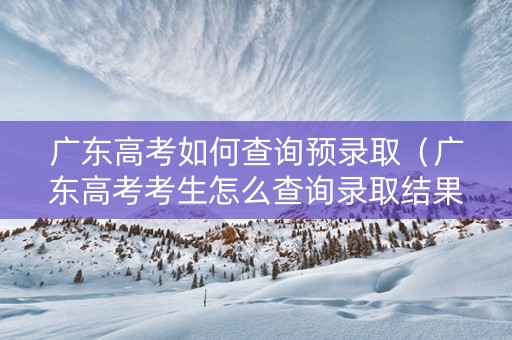 广东高考如何查询预录取（广东高考考生怎么查询录取结果）