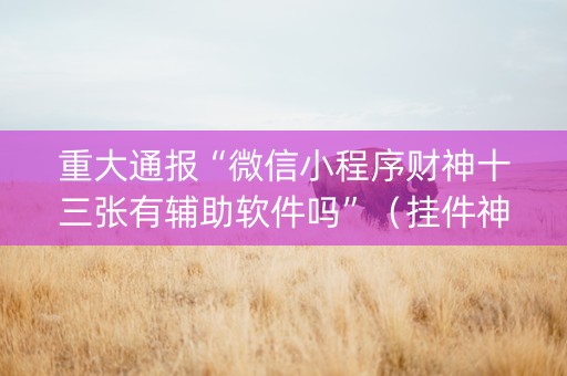重大通报“微信小程序财神十三张有辅助软件吗”（挂件神器)