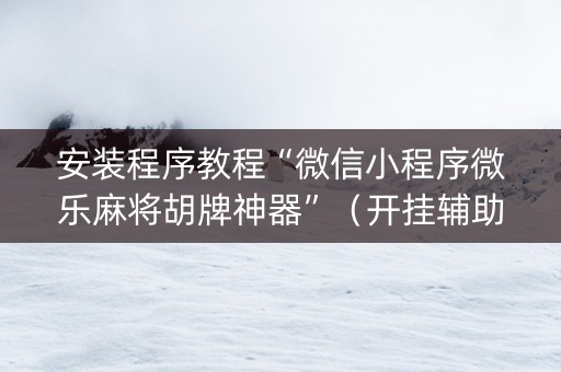 安装程序教程“微信小程序微乐麻将胡牌神器”（开挂辅助插件)