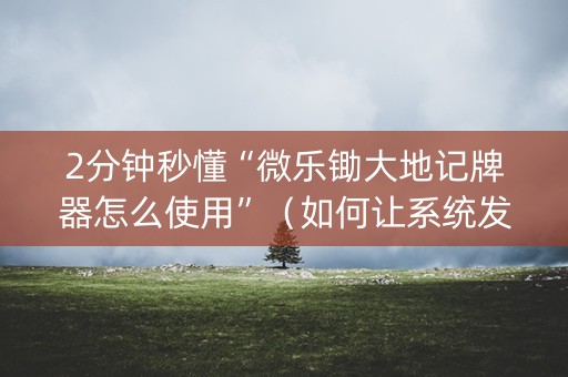 2分钟秒懂“微乐锄大地记牌器怎么使用”（如何让系统发好牌)