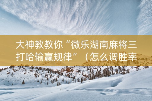 大神教教你“微乐湖南麻将三打哈输赢规律”（怎么调胜率)