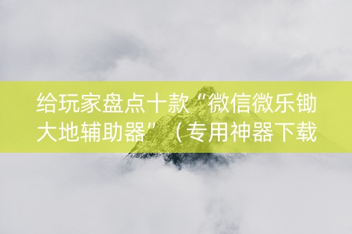 给玩家盘点十款“微信微乐锄大地辅助器”（专用神器下载)