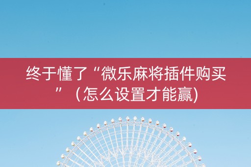 终于懂了“微乐麻将插件购买”（怎么设置才能赢)