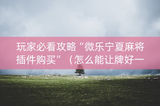 玩家必看攻略“微乐宁夏麻将插件购买”（怎么能让牌好一点)